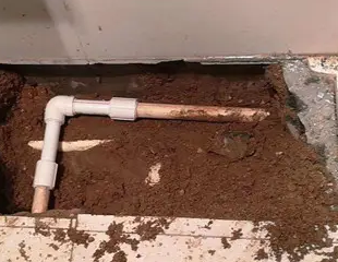 屏南测漏水哪家好