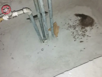 屏南卫生间测漏水价格明细