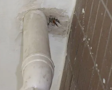 屏南漏水检测哪家好